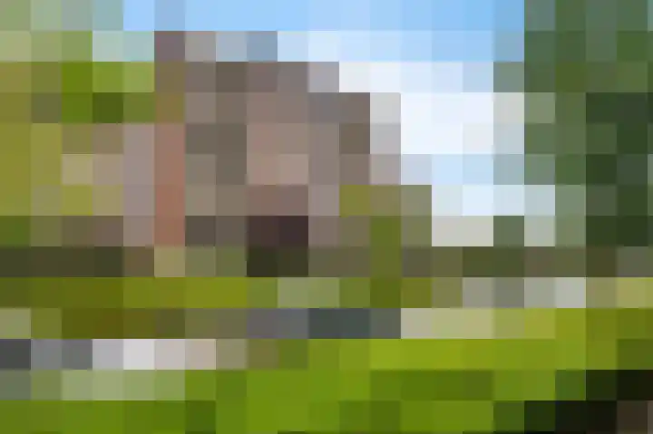 Piratenweg 108 Hoofddorp thumbnail 33