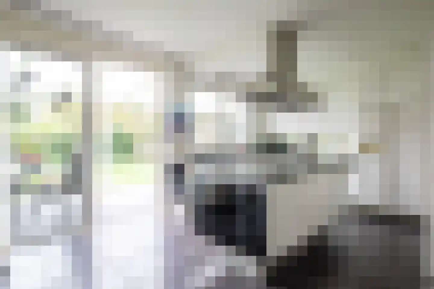 Piratenweg 19 Hoofddorp thumbnail 17