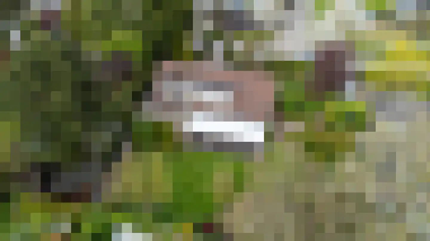 Piratenweg 19 Hoofddorp thumbnail 4