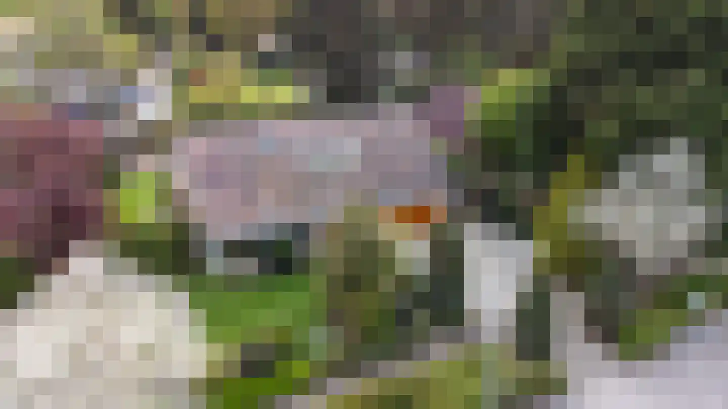 Piratenweg 19 Hoofddorp thumbnail 47