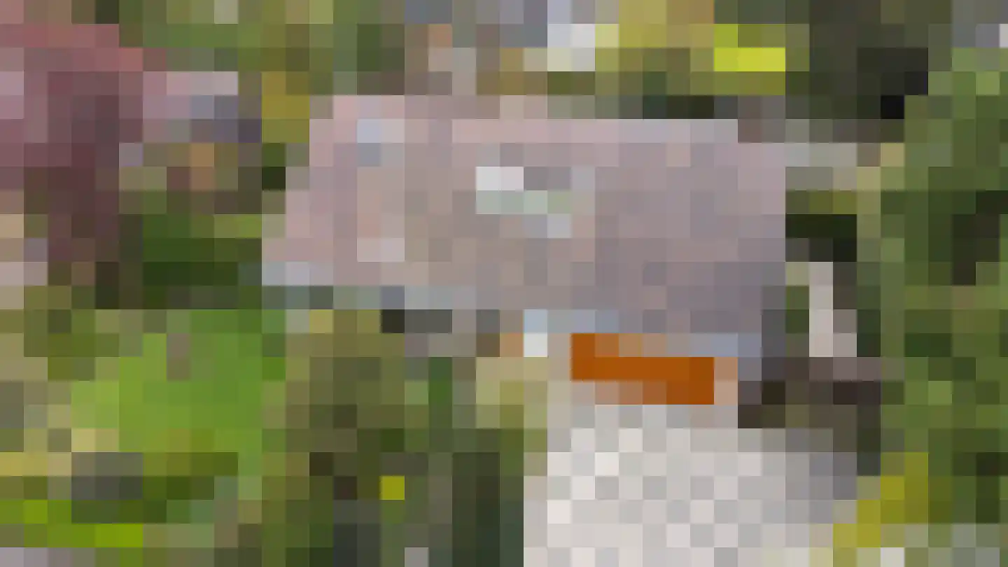Piratenweg 19 Hoofddorp thumbnail 5
