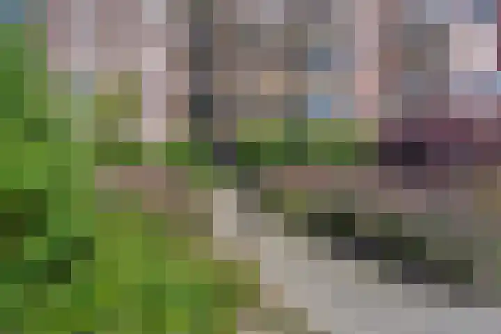 Piratenweg 42 Hoofddorp thumbnail 28