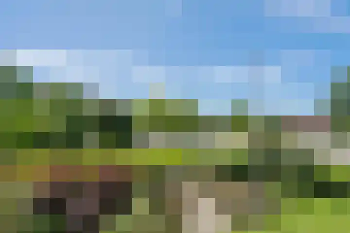 Piratenweg 42 Hoofddorp thumbnail 30