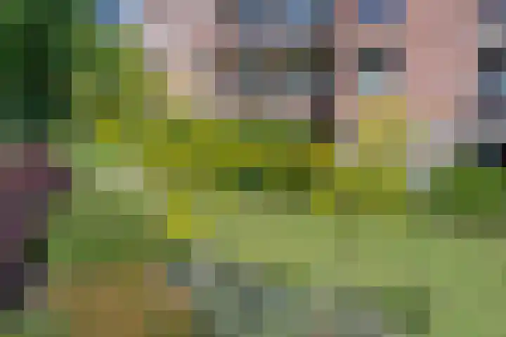 Piratenweg 42 Hoofddorp thumbnail 31