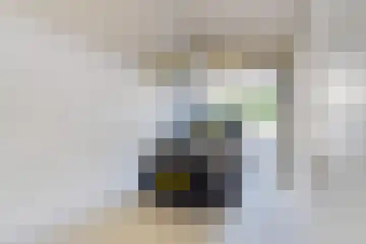 Piratenweg 42 Hoofddorp thumbnail 4