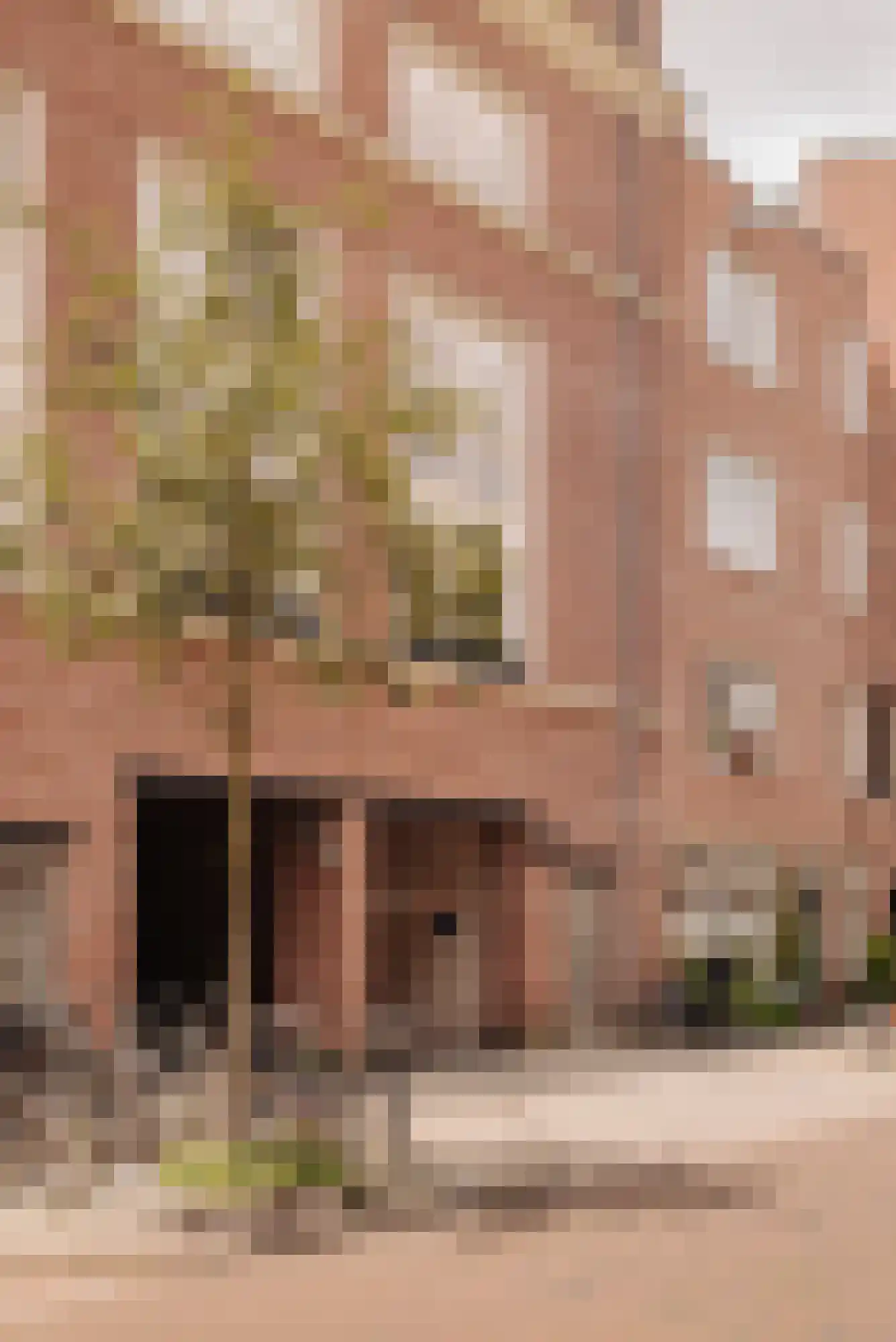 Piri Reisplein 72 Amsterdam thumbnail 12