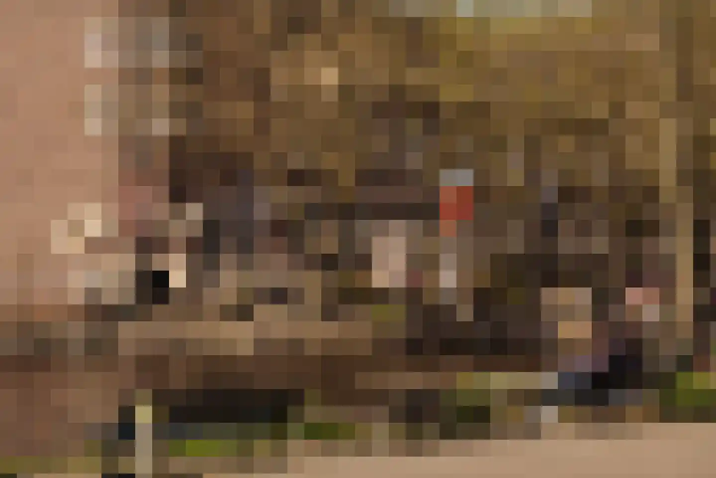 Piri Reisplein 72 Amsterdam thumbnail 14