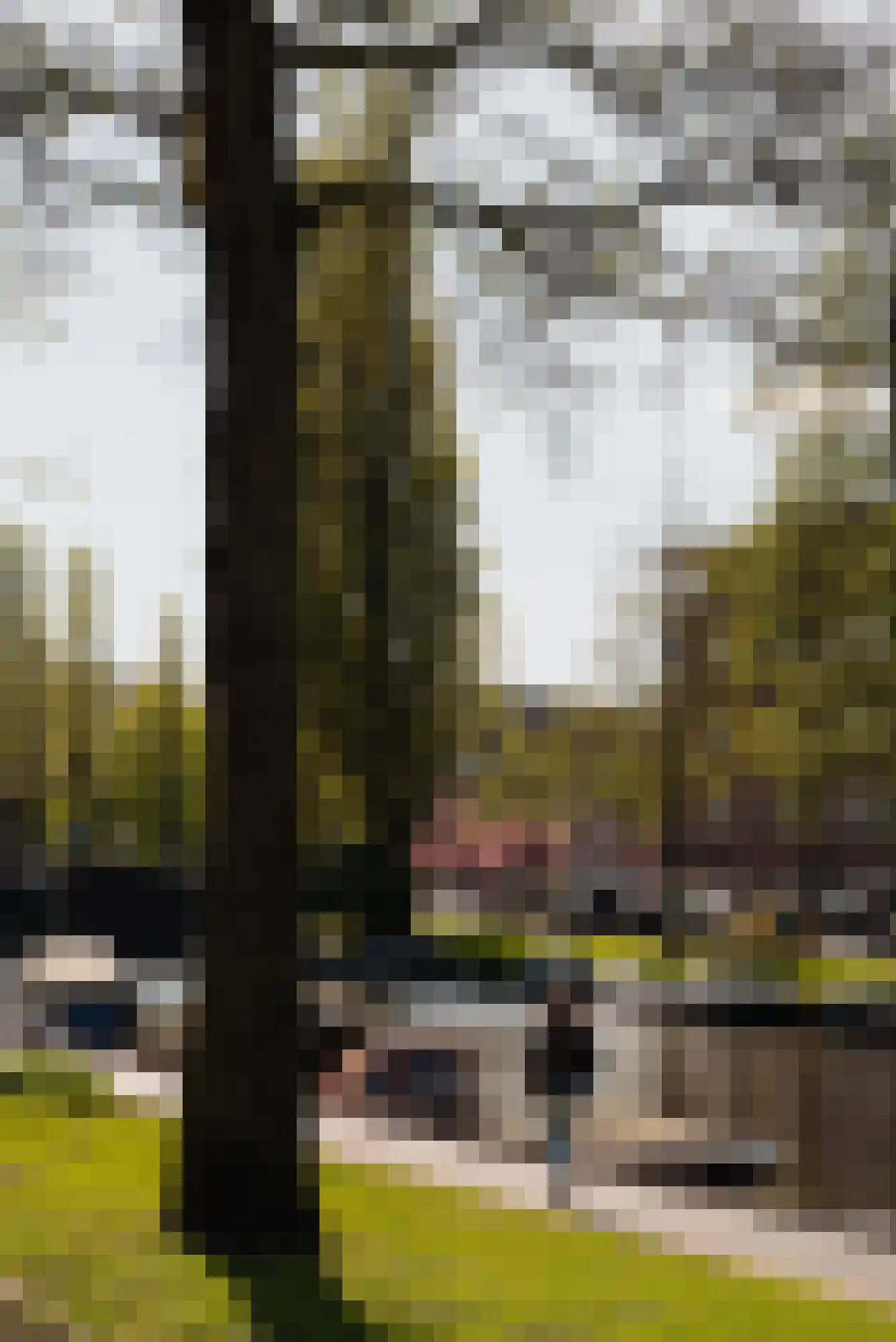 Piri Reisplein 72 Amsterdam thumbnail 15