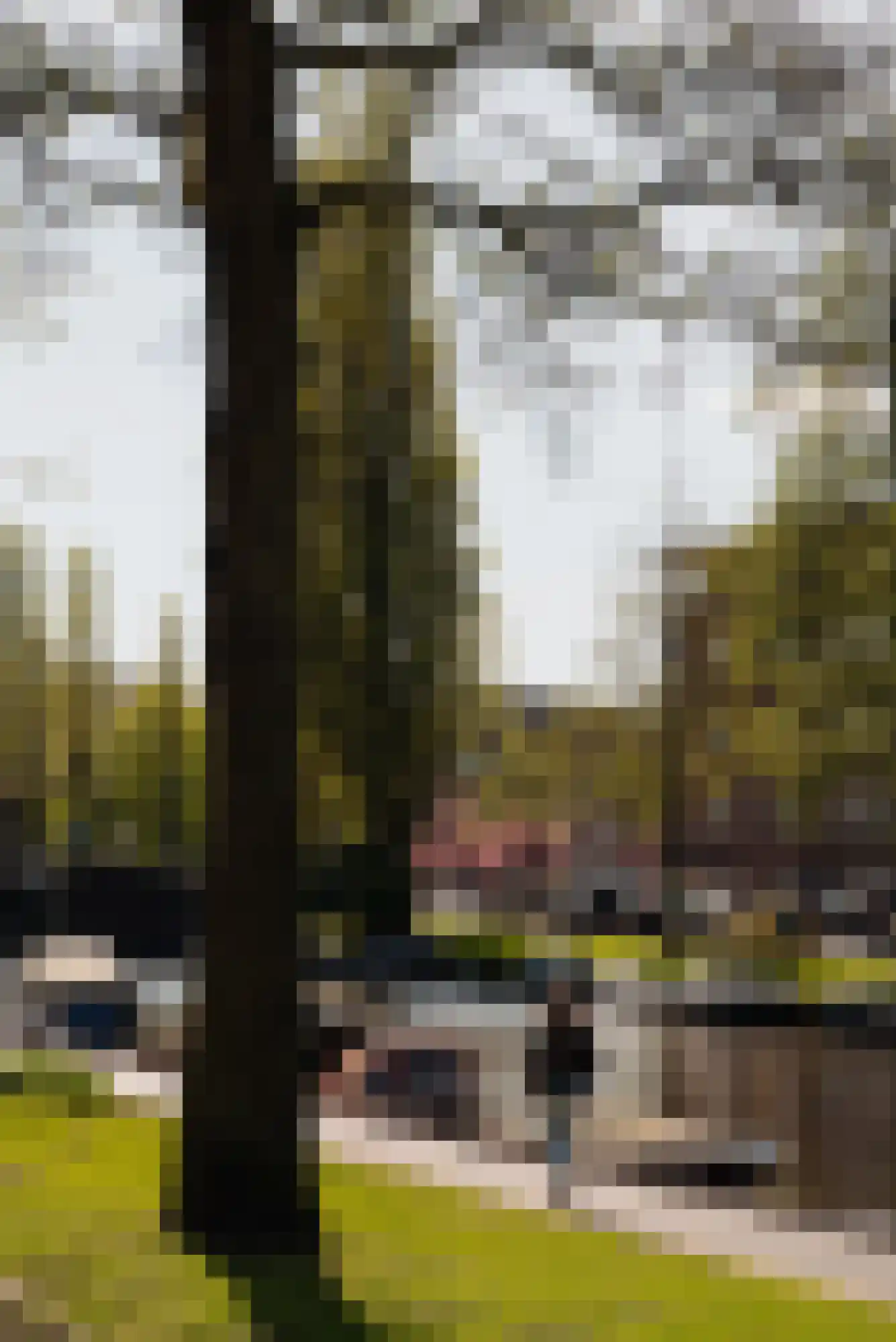 Piri Reisplein 72 Amsterdam thumbnail 15