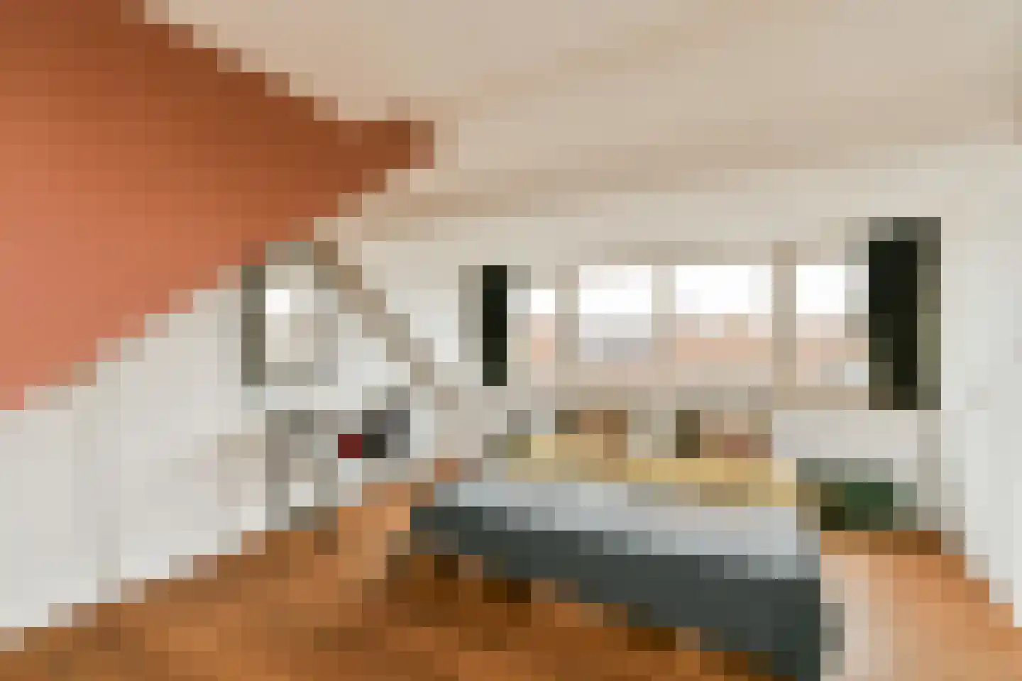 Pirolastraat 26 Amsterdam thumbnail 18