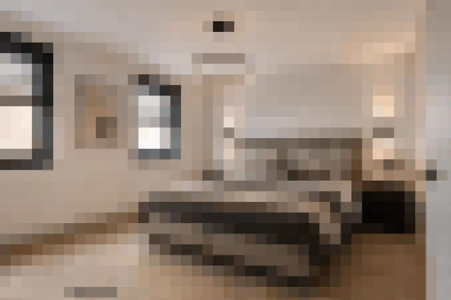 Pironstraat 17 Axel thumbnail 13