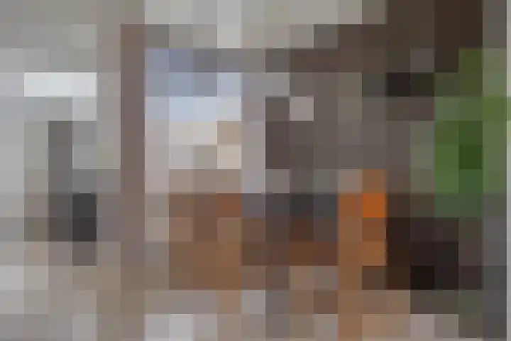 Pironstraat 64 Tilburg thumbnail 5