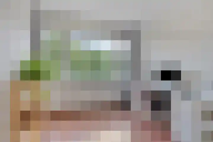 Pisanostraat 112 Eindhoven thumbnail 16