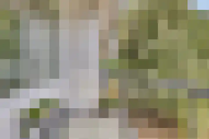 Pisanostraat 112 Eindhoven thumbnail 19