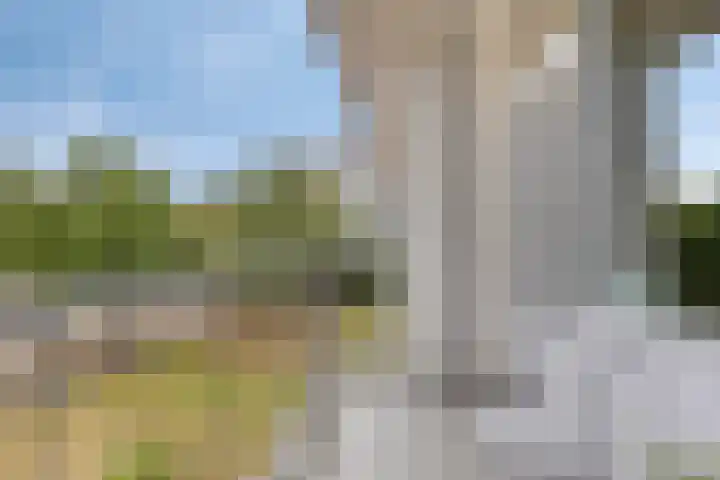 Pisanostraat 112 Eindhoven thumbnail 20