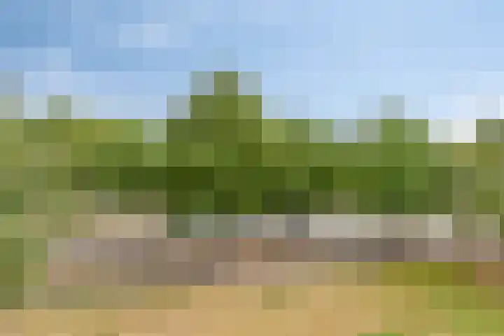 Pisanostraat 112 Eindhoven thumbnail 4