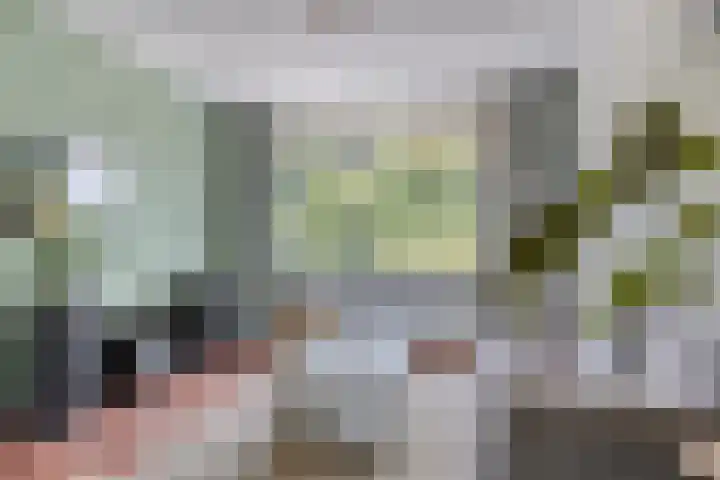 Pisanostraat 112 Eindhoven thumbnail 7
