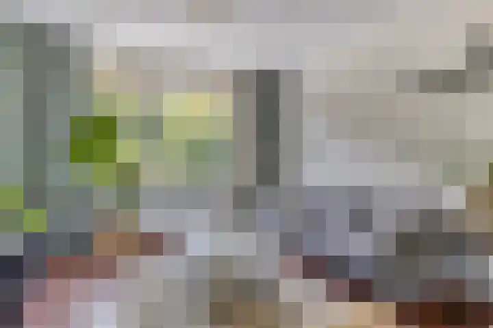 Pisanostraat 112 Eindhoven thumbnail 8