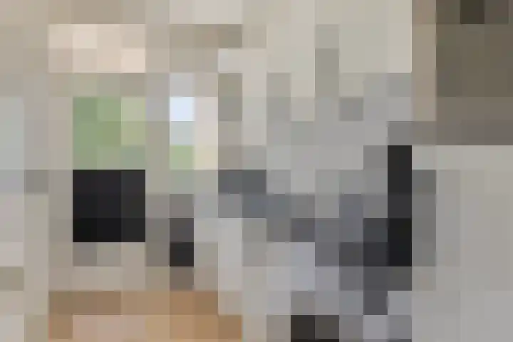 Pisanostraat 118 Eindhoven thumbnail 11