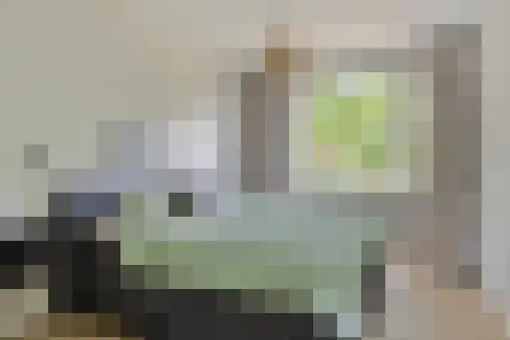 Pisanostraat 118 Eindhoven thumbnail 16