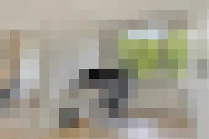 Pisanostraat 118 Eindhoven thumbnail 18