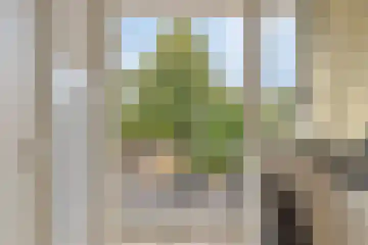 Pisanostraat 118 Eindhoven thumbnail 20