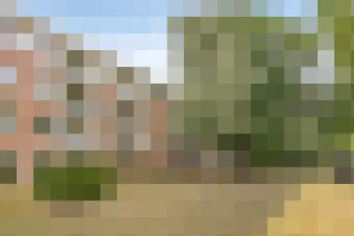 Pisanostraat 118 Eindhoven thumbnail 25