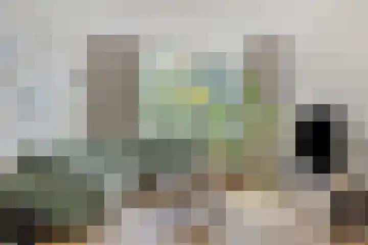 Pisanostraat 118 Eindhoven thumbnail 6