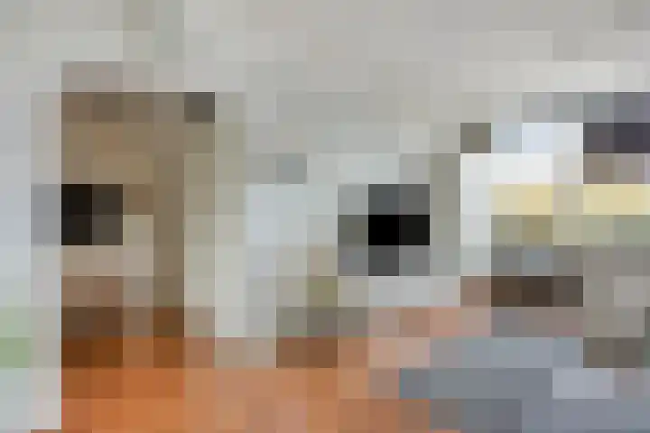 Pisanostraat 124 Eindhoven thumbnail 10