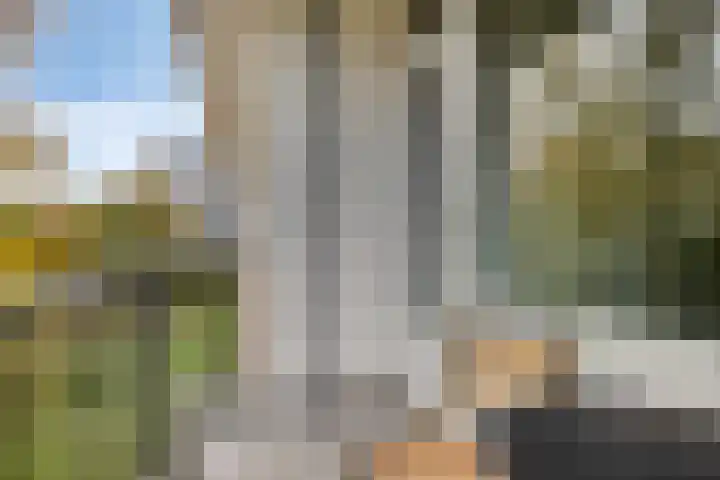 Pisanostraat 124 Eindhoven thumbnail 14
