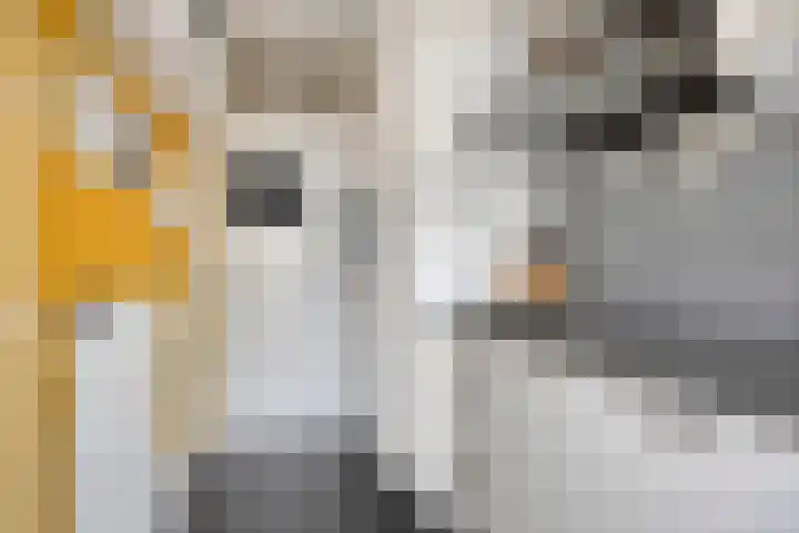 Pisanostraat 124 Eindhoven thumbnail 16