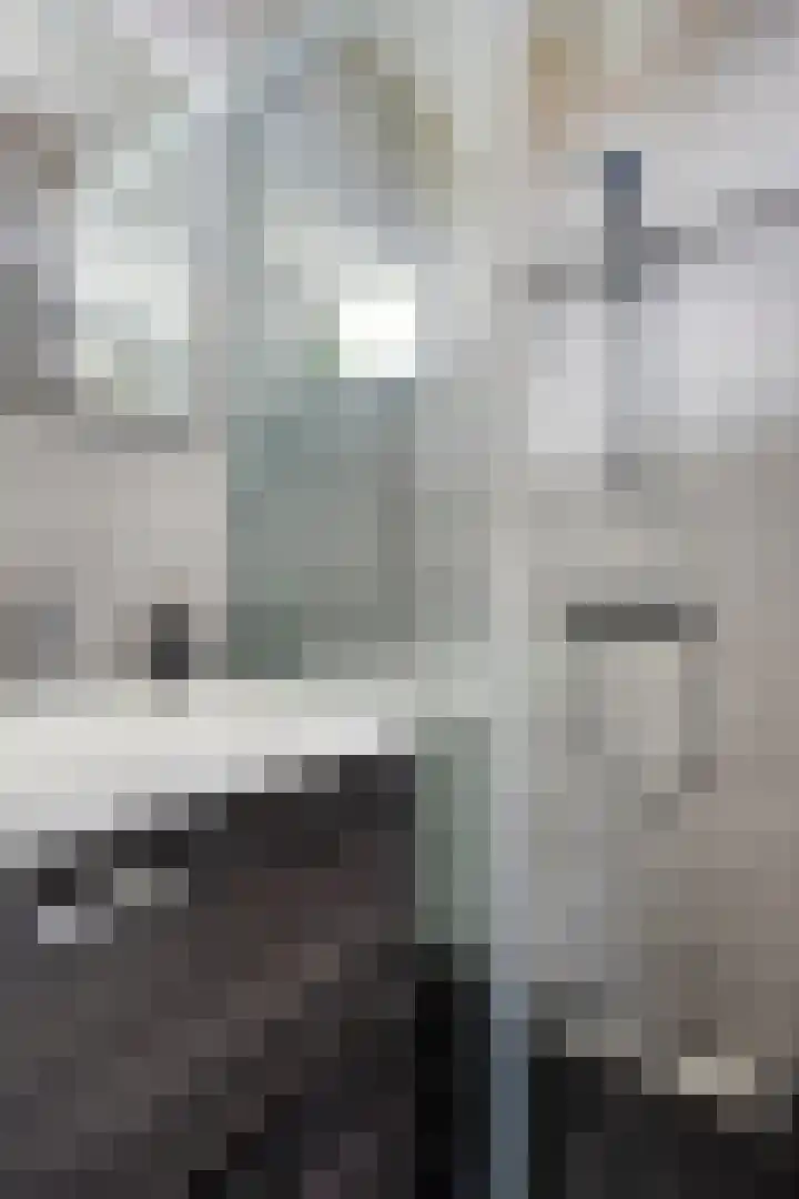 Pisanostraat 124 Eindhoven thumbnail 19