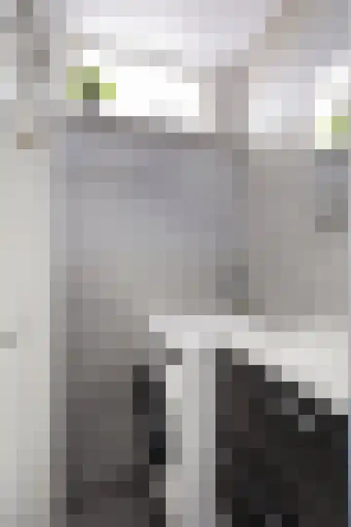 Pisanostraat 124 Eindhoven thumbnail 20