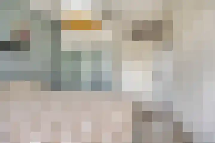 Pisanostraat 124 Eindhoven thumbnail 21