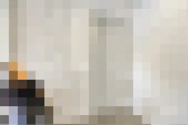 Pisanostraat 124 Eindhoven thumbnail 25