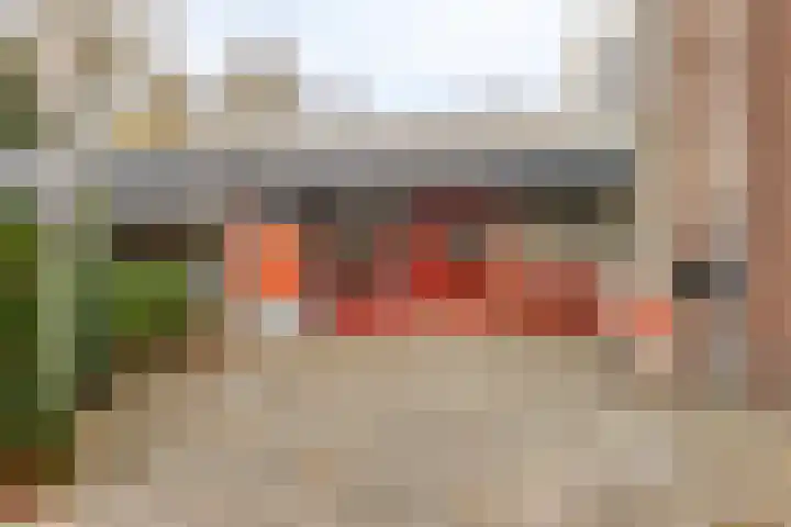 Pisanostraat 124 Eindhoven thumbnail 29