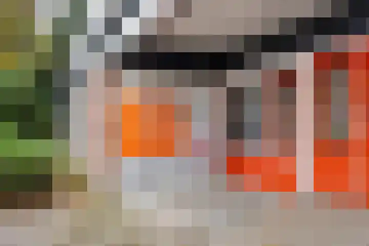 Pisanostraat 124 Eindhoven thumbnail 30