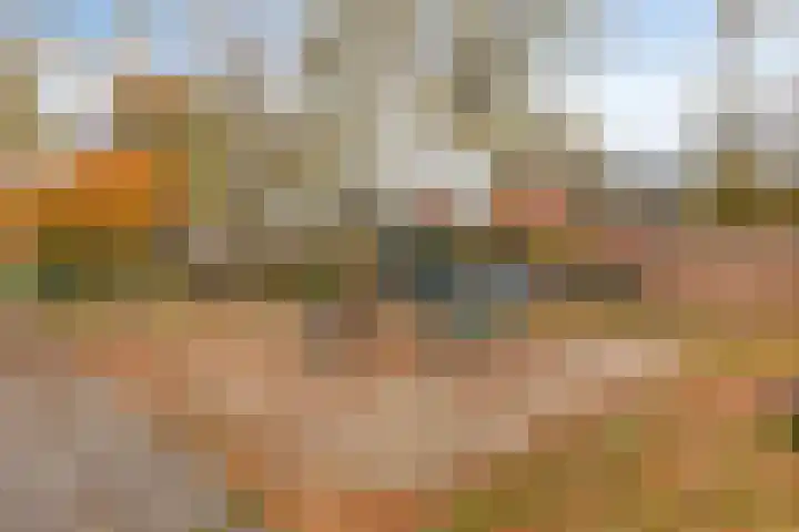 Pisanostraat 124 Eindhoven thumbnail 31