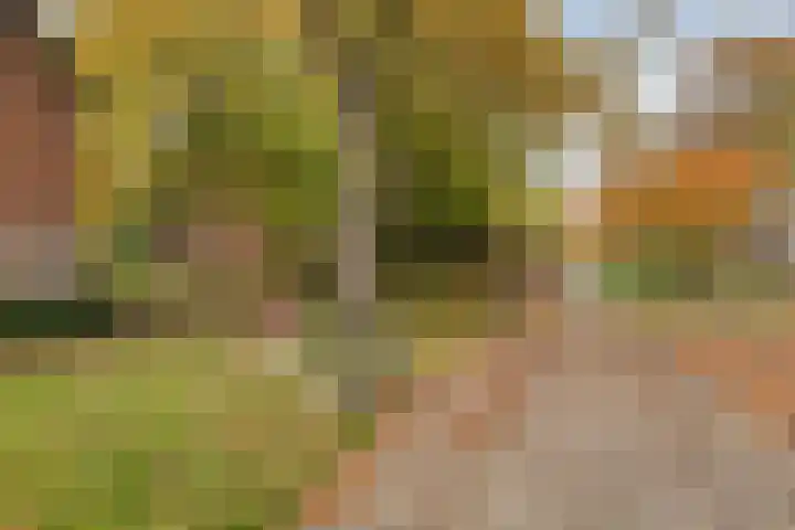 Pisanostraat 124 Eindhoven thumbnail 32