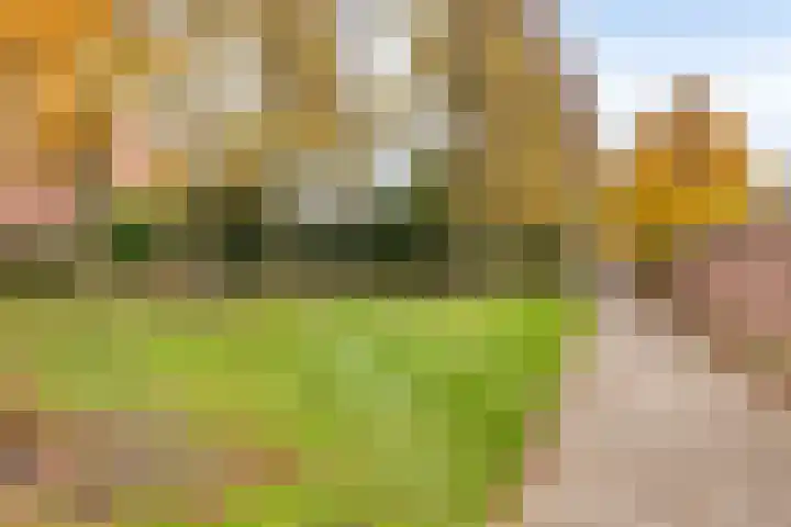 Pisanostraat 124 Eindhoven thumbnail 33