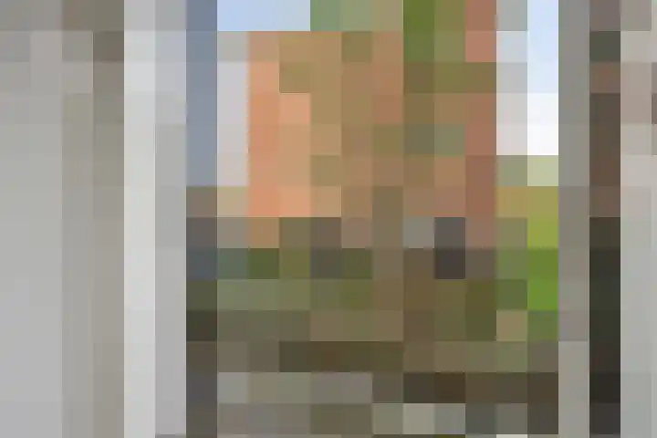 Pisanostraat 154 Eindhoven thumbnail 23