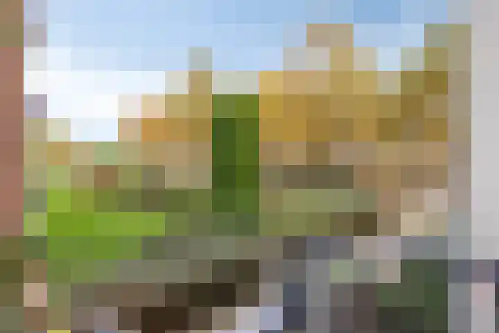 Pisanostraat 154 Eindhoven thumbnail 24