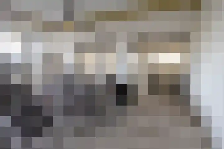 Pisanostraat 154 Eindhoven thumbnail 31