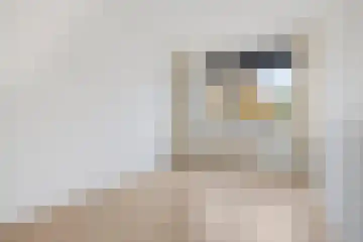 Pisanostraat 154 Eindhoven thumbnail 4
