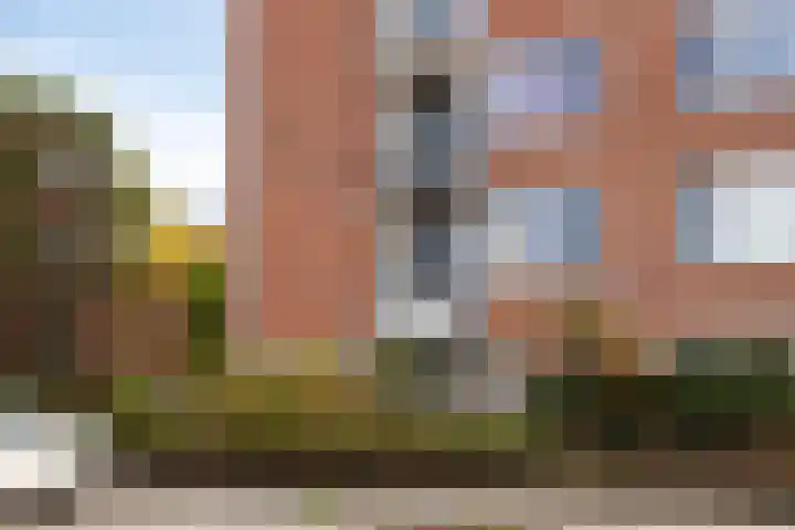 Pisanostraat 154 Eindhoven thumbnail 8