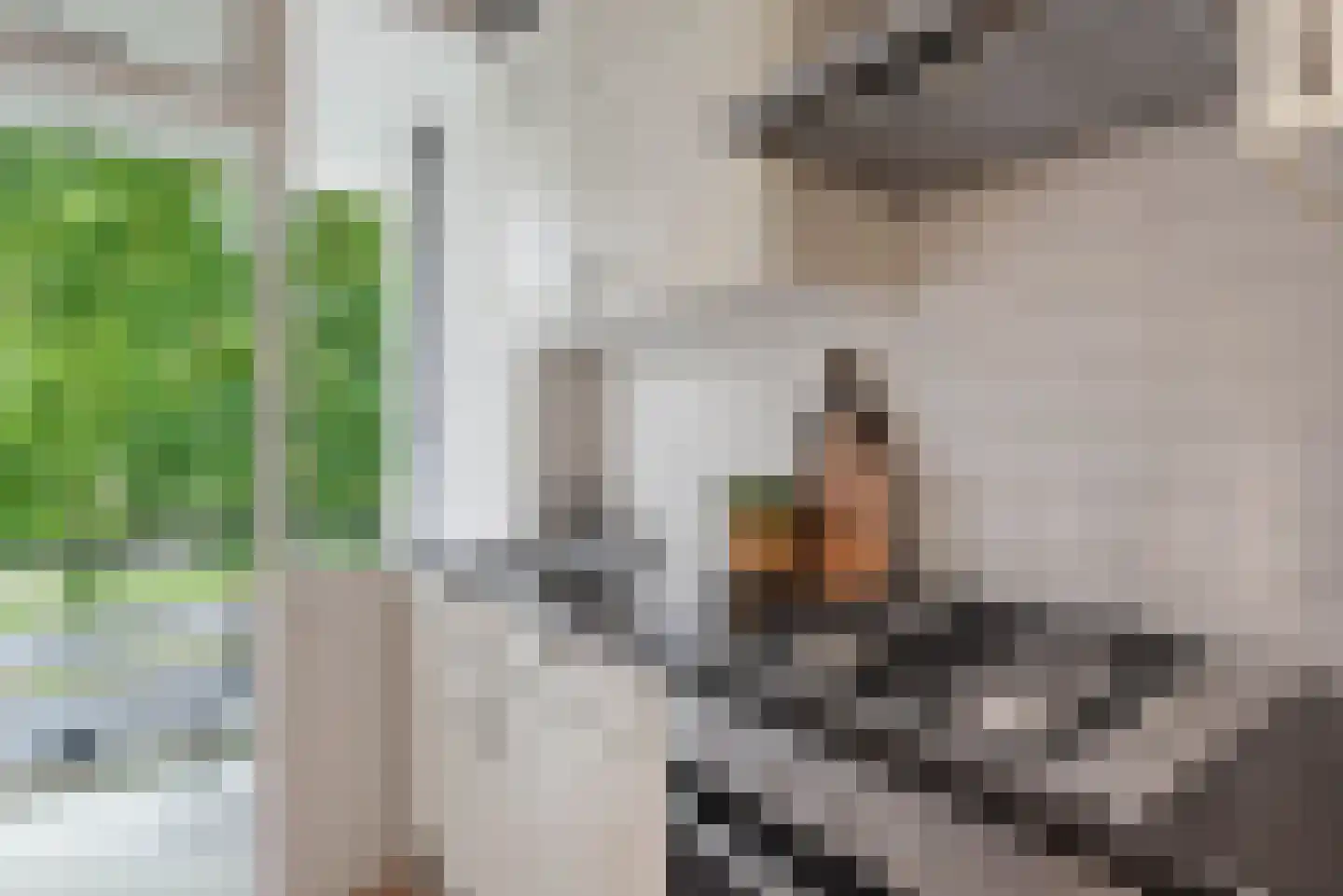 Pisanostraat 18 Eindhoven thumbnail 28