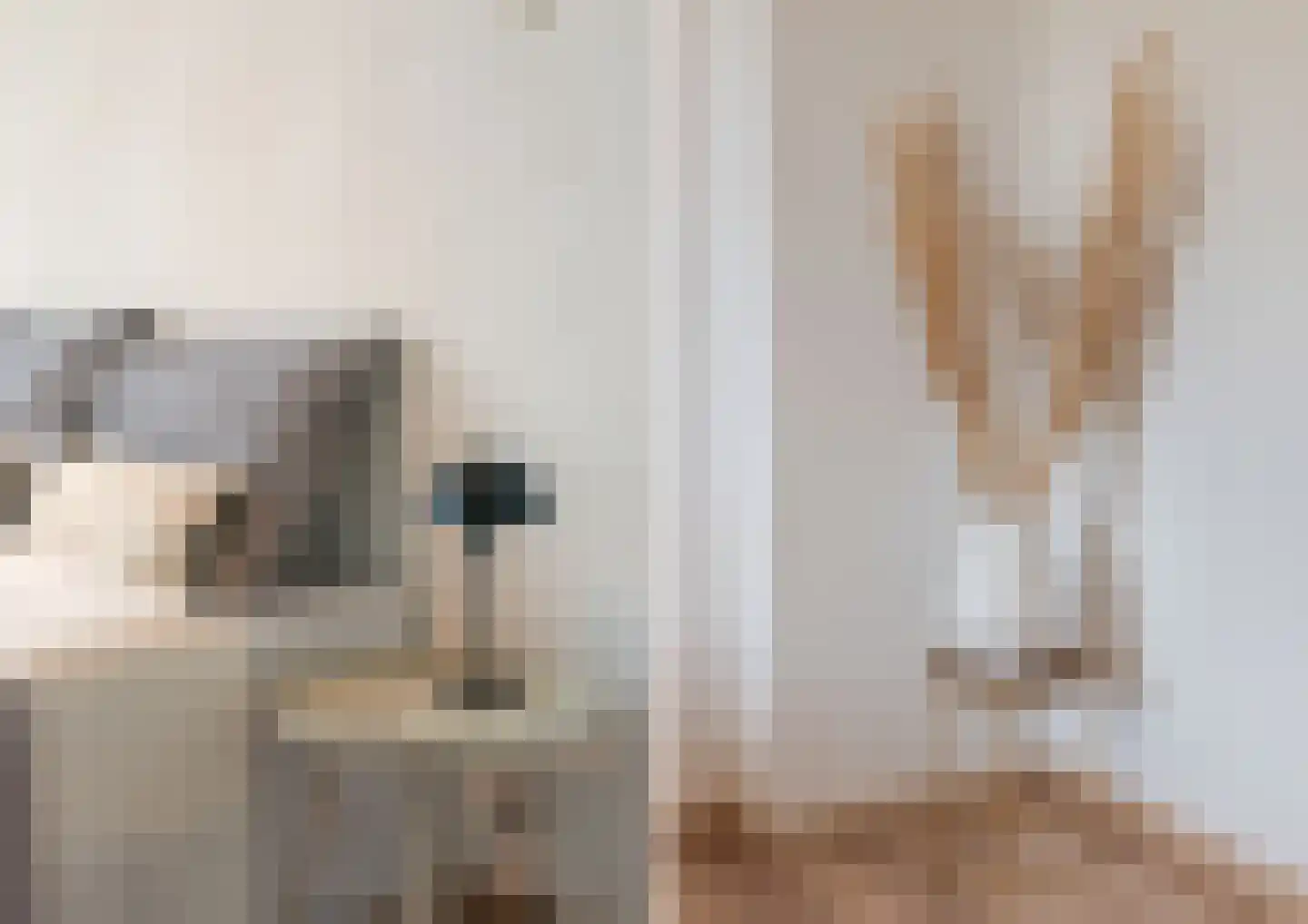 Pisanostraat 18 Eindhoven thumbnail 35