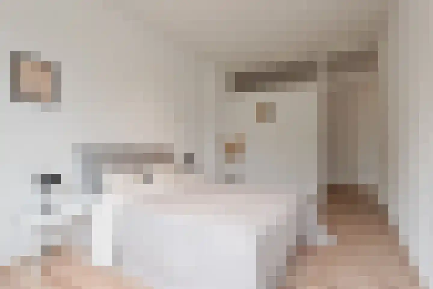 Pisanostraat 18 Eindhoven thumbnail 36