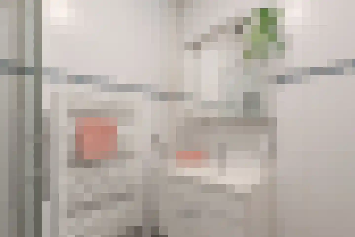 Pisanostraat 18 Eindhoven thumbnail 43
