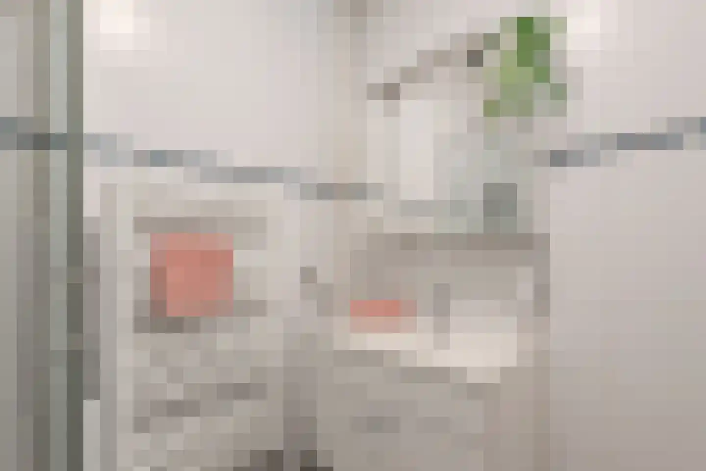 Pisanostraat 18 Eindhoven thumbnail 43